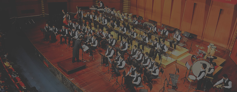 Bodhran Irish rhythms